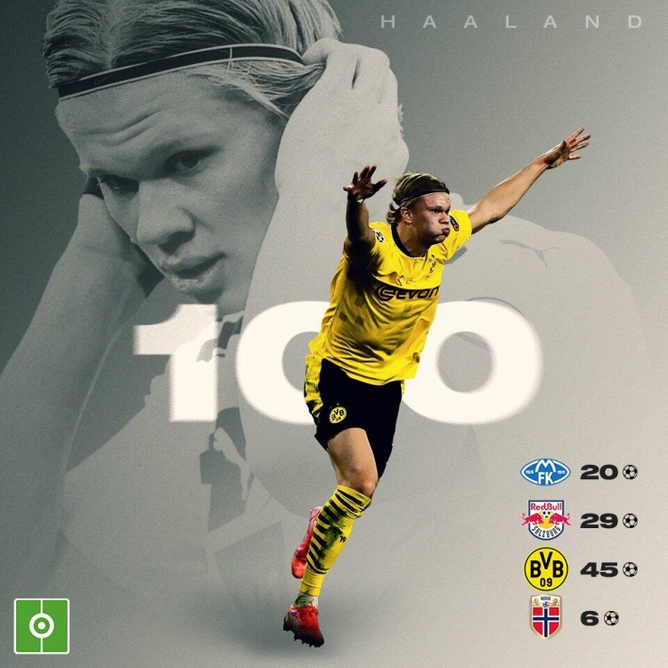 意愿遭遇豪 意愿遭遇豪