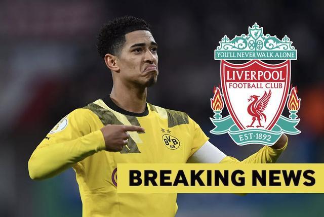 的陪伴感 的陪伴感