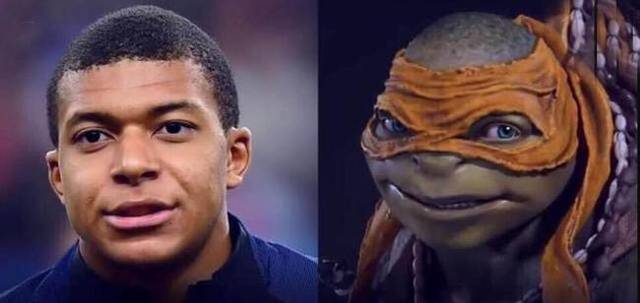 篮板保护 篮板保护